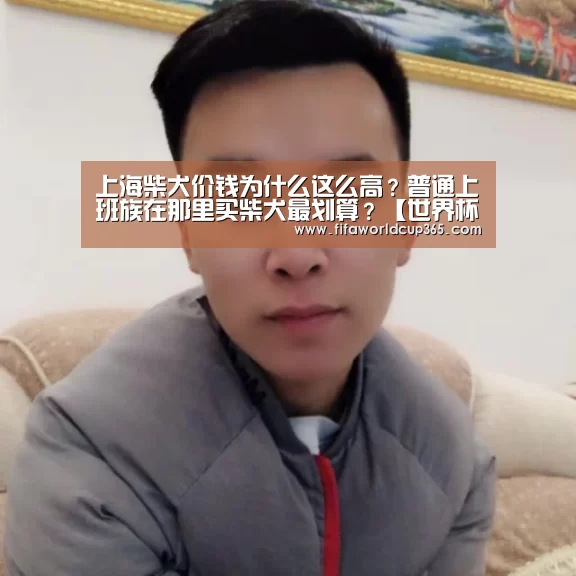 上海柴犬价钱为什么这么高?普通上班族在那里买柴犬最划算?【世界杯买球app】(图1) 世界杯买球app