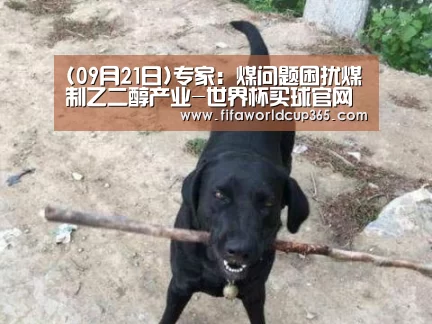 (09月21日)专家:煤问题困扰煤制乙二醇产业-世界杯买球官网(图2) 世界杯买球