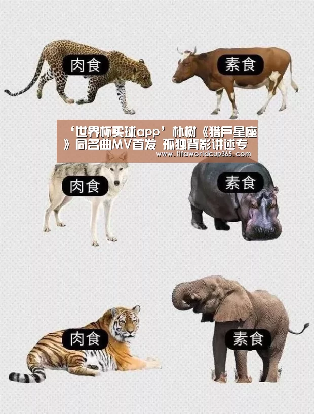 ‘世界杯买球app’朴树《猎户星座》同名曲MV首发 孤独背影讲述专辑幕后故事(图1) 世界杯买球官网