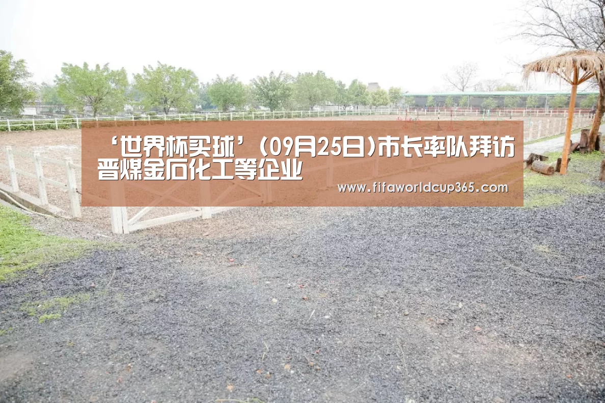 ‘世界杯买球’(09月25日)市长率队拜访晋煤金石化工等企业(图4) 世界杯买球