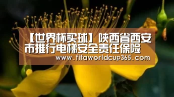 【世界杯买球】陕西省西安市推行电梯安全责任保险(图1) 世界杯买球app