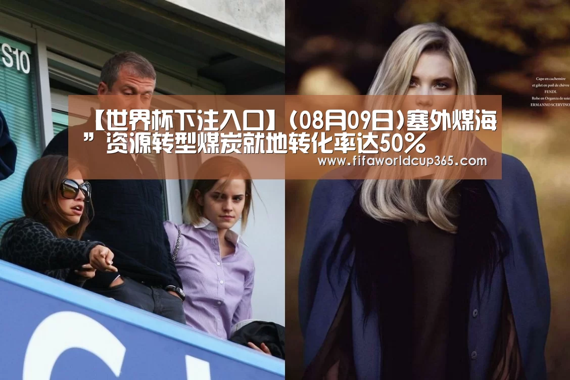 【世界杯下注入口】(08月09日)塞外煤海”资源转型煤炭就地转化率达50%(图3) 世界杯买球
