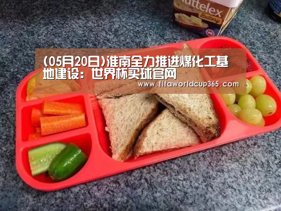 (05月20日)淮南全力推进煤化工基地建设:世界杯买球官网(图3) 世界杯买球app