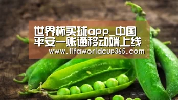 世界杯买球app_中国平安一账通移动端上线 首创一站式移动金融服务平台(图4) 世界杯买球官网