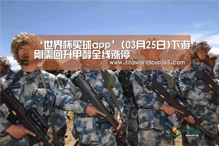 ‘世界杯买球app’(03月25日)下游刚需回升甲醇全线涨停(图2) 世界杯买球官网